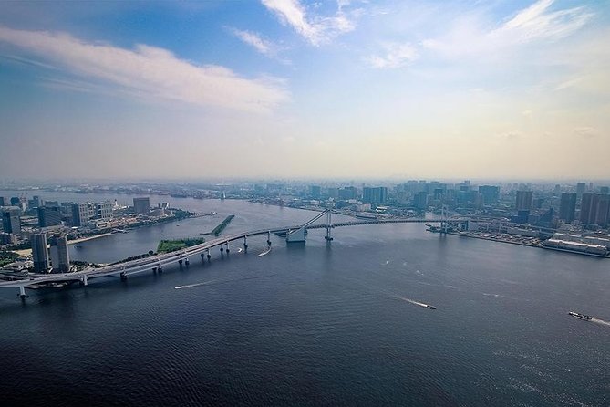 【10 mins】Tokyo Helicopter Tour + Private Car Pickup & Drop off - Weather and cancellation rules