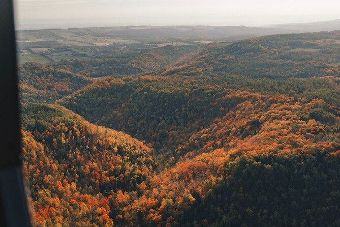 20 Minute Scenic Helicopter Private Tour - A 20-Minute Flight With a Lot Packed In