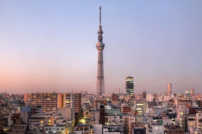 25-Min Downtown Helicopter Tour : Tokyo Skytree and Tokyo Tower - Key points before you book