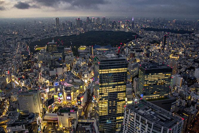 25-Min Downtown Helicopter Tour : Tokyo Skytree and Tokyo Tower - What the private format really adds