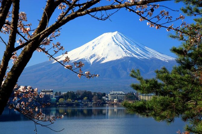 75-Min Mt. Fuji Half Day Private Helicopter Tour - The real prize is Fuji from above