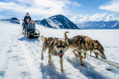 Alaska Helicopter and Glacier Dogsled Tour – ANCHORAGE AREA