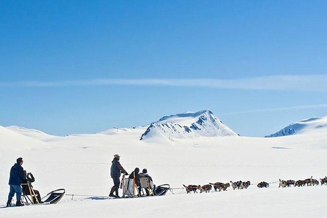 Alaska Helicopter and Glacier Dogsled Tour - ANCHORAGE AREA - Is $761.91 a fair price?