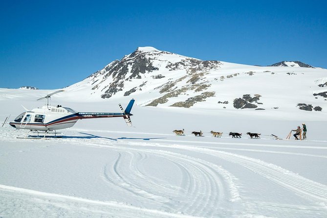 Alaska Helicopter and Glacier Dogsled Tour - ANCHORAGE AREA - Who will enjoy this most?
