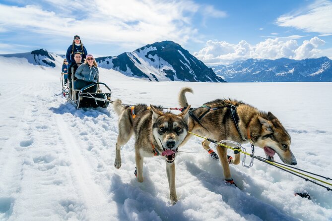 Alaska Helicopter and Glacier Dogsled Tour - ANCHORAGE AREA - One hour with sled dogs on real glacier snow
