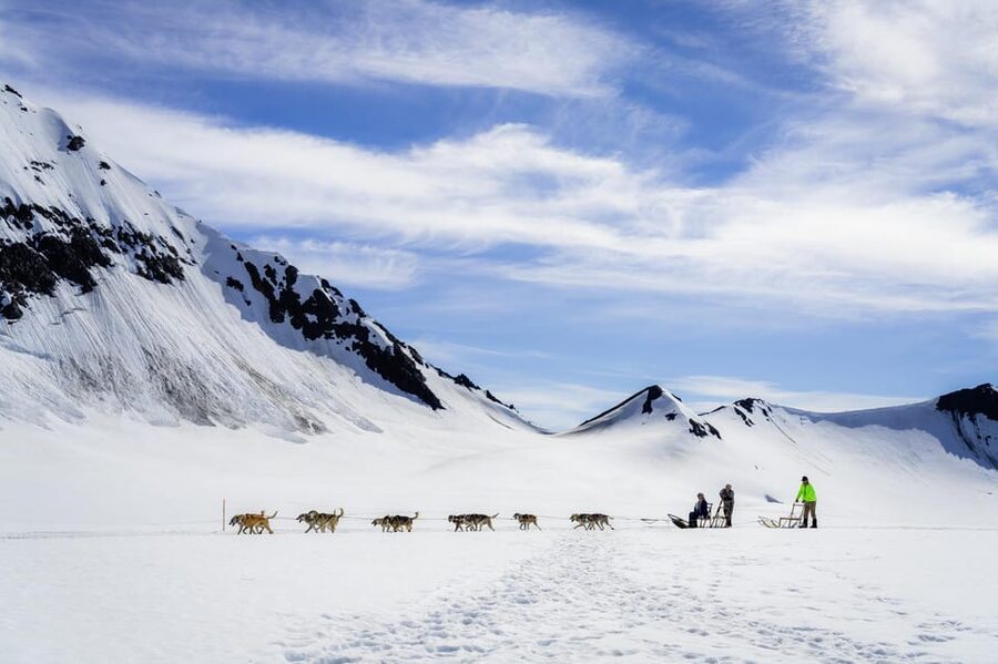 Anchorage Area: Helicopter and Glacier Dogsled Tour - Key points to know before booking