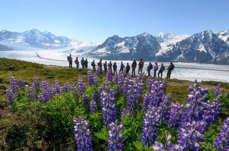 Anchorage: Grand Knik Glacier Helicopter Tour with Landings - Is two hours enough?