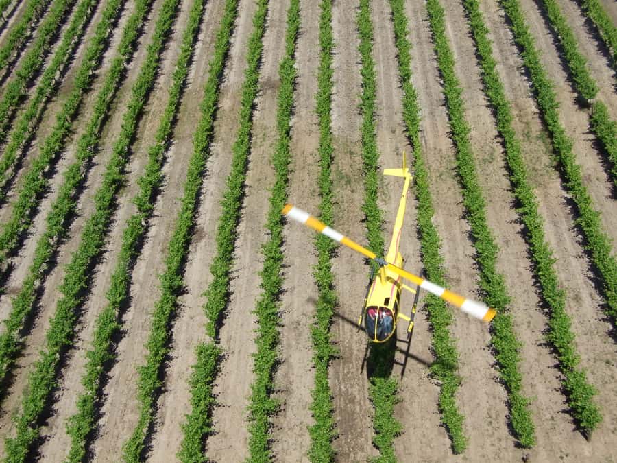 Barossa Valley: 10-Minute Scenic Helicopter Flight - Starting at Barossa Helicopters in Hoffnungsthal Valley