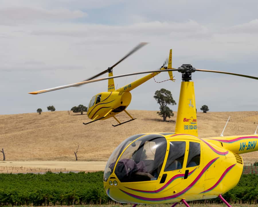 Barossa Valley: 30 Minute Scenic Helicopter Flight - Seeing the Barossa in one sweeping loop