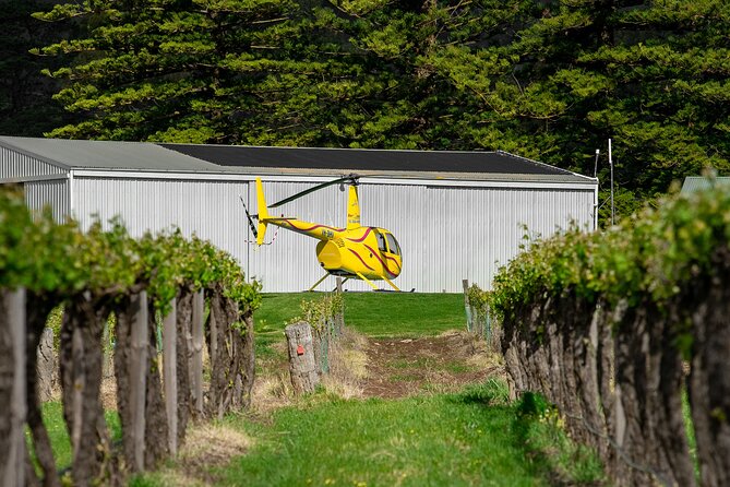 Barossa Valley Deluxe: 30-Minute Helicopter Flight - What the view is like in different seasons
