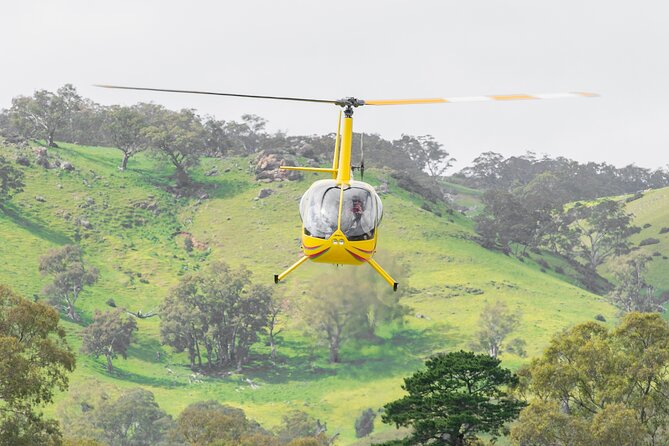 Barossa Valley Deluxe: 30-Minute Helicopter Flight - Boarding a private helicopter