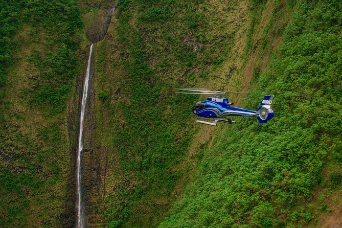 Big Island Spectacular Helicopter Tour - Hamakua, Hilo, and Akaka Falls
