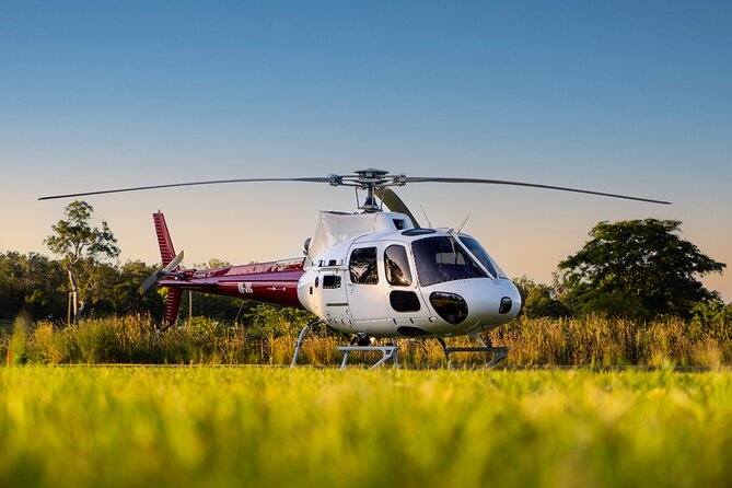 Brisbane City - Private Helicopter Sunset Flight - 25min - Roma Street Parkland and the turn back