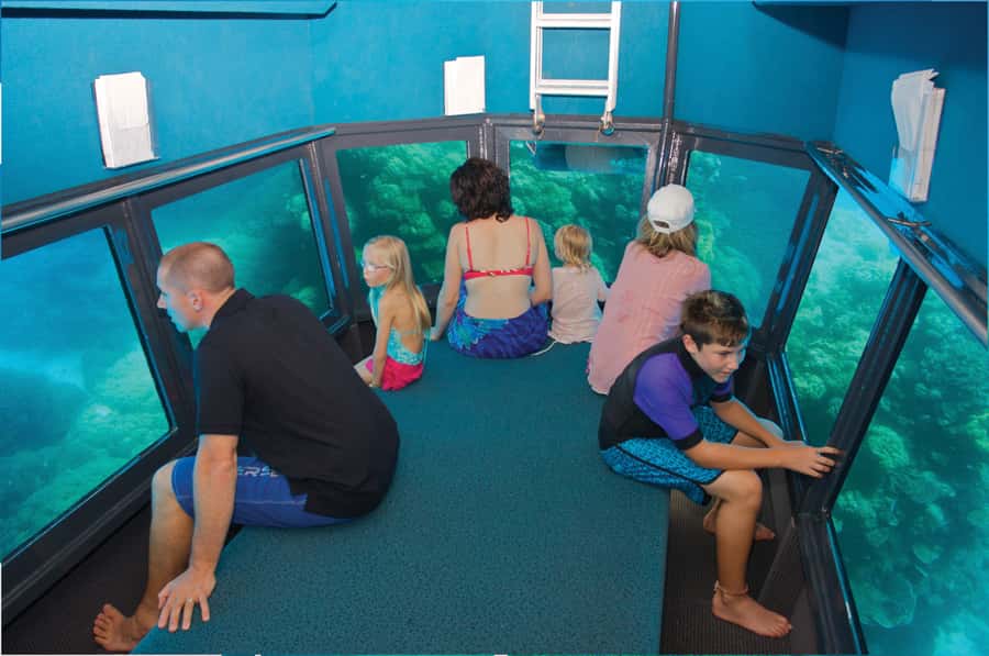 Cairns: Great Barrier Reef Cruise & 10 Minute Helicopter - Snorkeling in the coral gardens