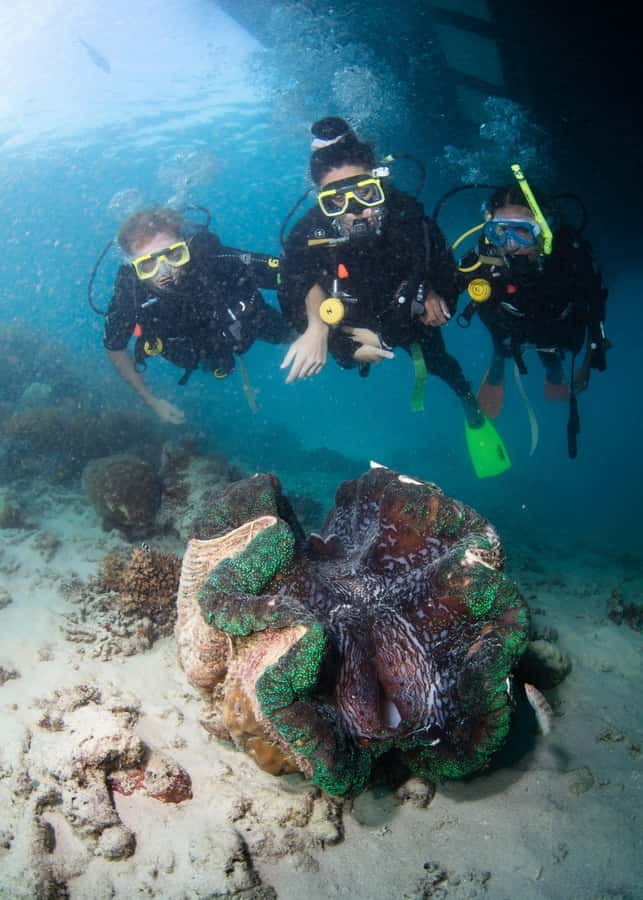 Cairns: Great Barrier Reef Cruise & 10 Minute Helicopter - Seeing the reef from the semi-submarine