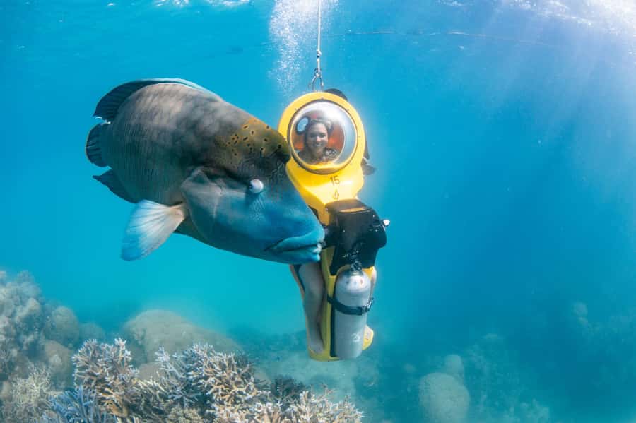 Cairns: Great Barrier Reef Cruise & 10 Minute Helicopter - The underwater observatory for a dry view