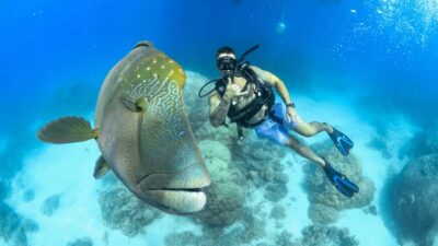 Cairns: Great Barrier Reef Cruise & Scenic Helicopter Flight