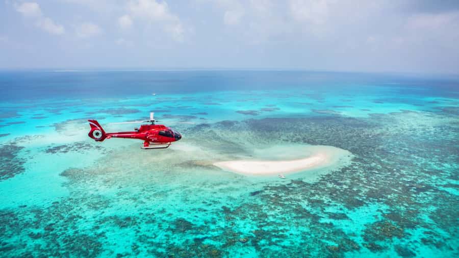 Cairns: Great Barrier Reef Cruise & Scenic Helicopter Flight - The crew is a major part of the experience