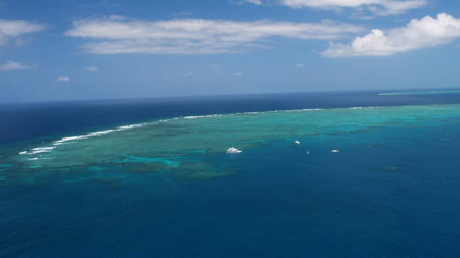 Cairns: Great Barrier Reef Cruise & Scenic Helicopter Flight - What to pack and who should book