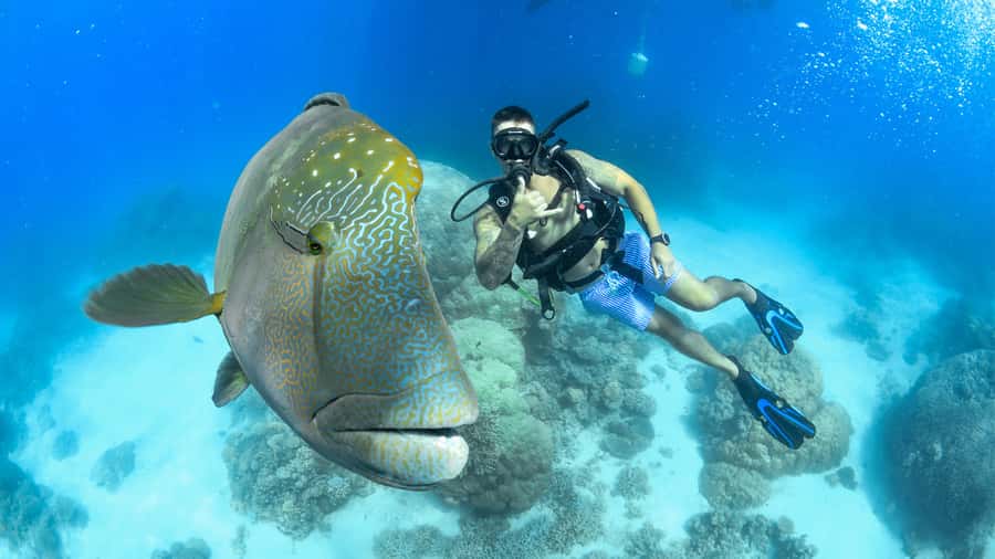 Cairns: Great Barrier Reef Cruise & Scenic Helicopter Flight - The 35-metre Evolution makes the crossing easier