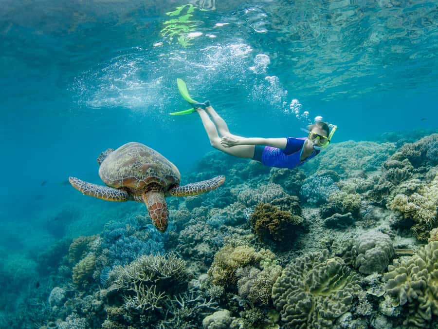 Cairns: Great Barrier Reef Pontoon, Travel by Helicopter - Moore Reef gives you four hours to set your own pace