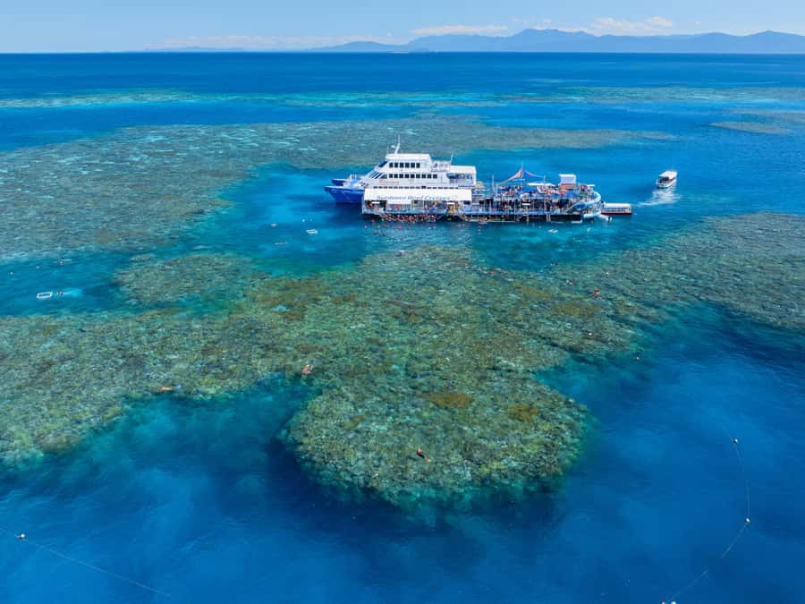 Cairns: Great Barrier Reef Pontoon, Travel by Helicopter - Lunch and the included facilities help justify the price