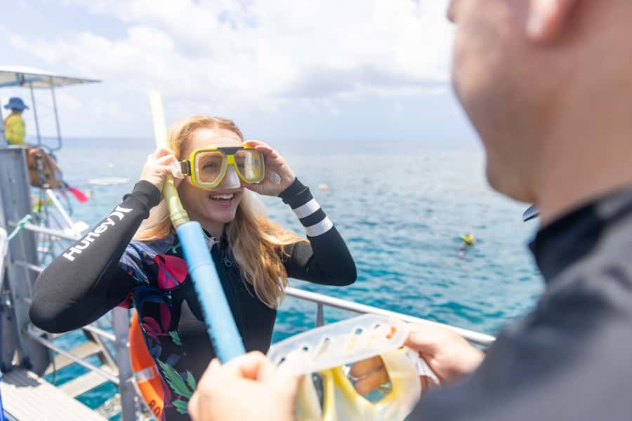 Cairns: Half Day Helicopter & Snorkeling Tour - Key points at a glance