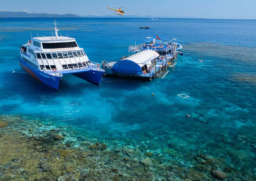 Cairns: Half Day Helicopter & Snorkeling Tour - Moore Reef and the multi-level pontoon