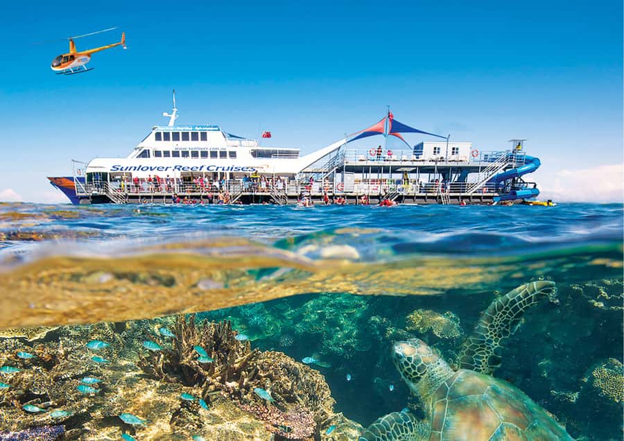 Cairns: Half Day Helicopter & Snorkeling Tour - Who will enjoy this most