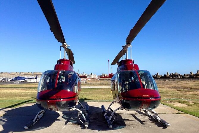 Camps Bay and Hout Bay Helicopter Tour from Cape Town - Weight, age, and accessibility rules