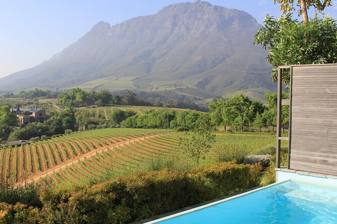 Cape of Good Hope Helicopter Private Tour with Stellenbosch Wine Tasting & Lunch - Key points to know before booking