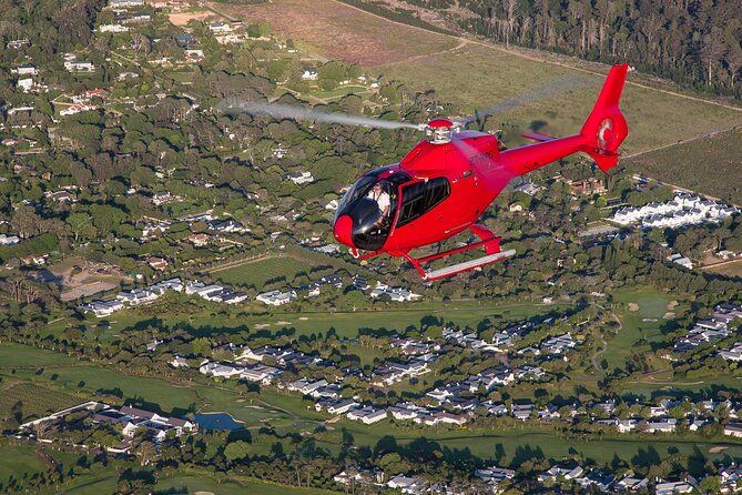 Cape of Good Hope Helicopter Private Tour with Stellenbosch Wine Tasting & Lunch - Delaire Graff, the grand lunch stop