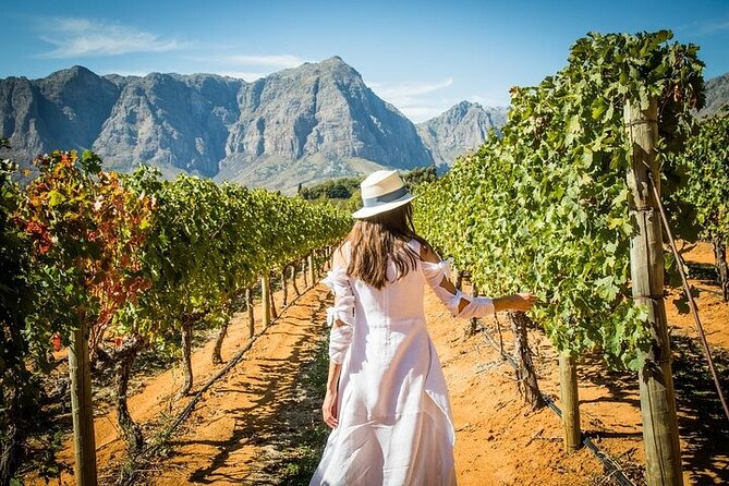 Cape Peninsula Helicopter Private Tour with Stellenbosch Wine Tasting & Lunch - The guide can shape the whole experience