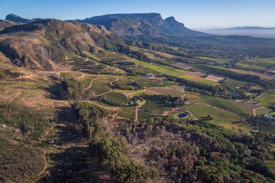 Cape Town: 2 Oceans Helicopter Flight with Boat Tour Ticket - Atlantic beaches, luxury homes, and the Twelve Apostles