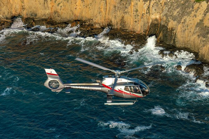 Coastal California Helicopter Tour from Long Beach - Newport Beach from above