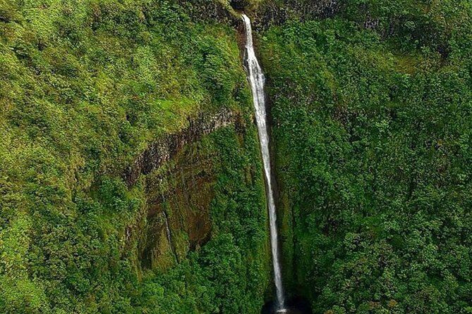 Complete Island 60-Minute Helicopter Tour - What the six-seat cabin is really like