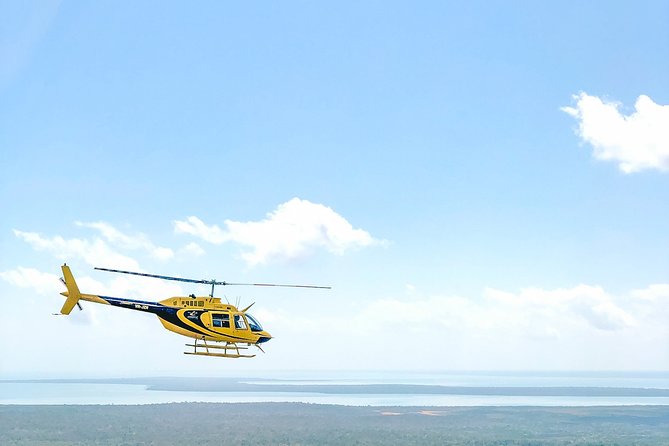 Darwin Cyclone 30 Minutes Helicopter Tour - Key points to know before you book