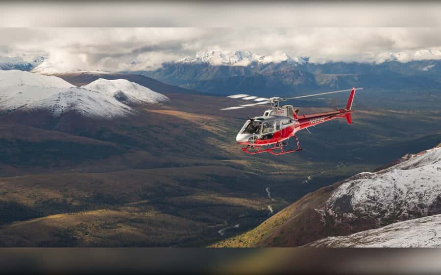 Denali National Park: Helicopter and Hike Adventure - Key points at a glance