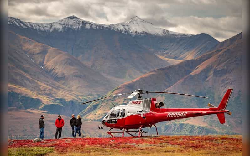 Denali National Park: Helicopter and Hike Adventure - Landing near the park and heading above the trees