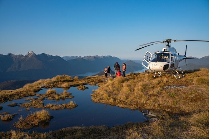 Dusky Sound // Helicopter Scenic Flight - Key points at a glance