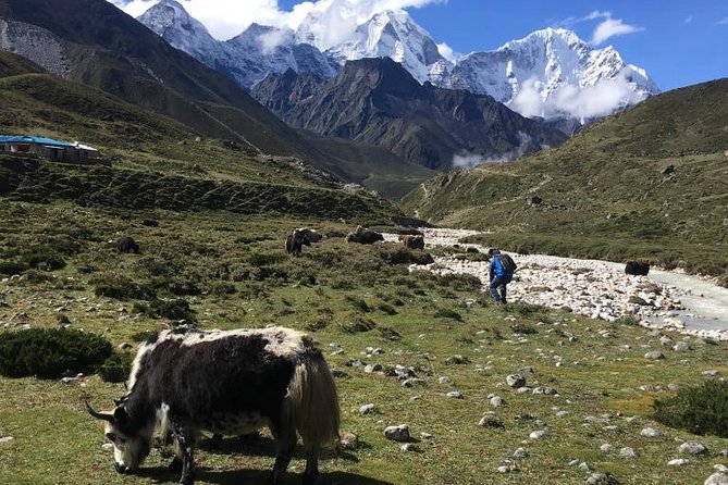 Everest Base Camp Helicopter Tour landing at Everest View Hotel - Is $1,575 a fair price?
