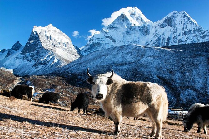 Everest Base Camp Trek with Helicopter Return from Gorakshep to Lukla - Key points to know before booking