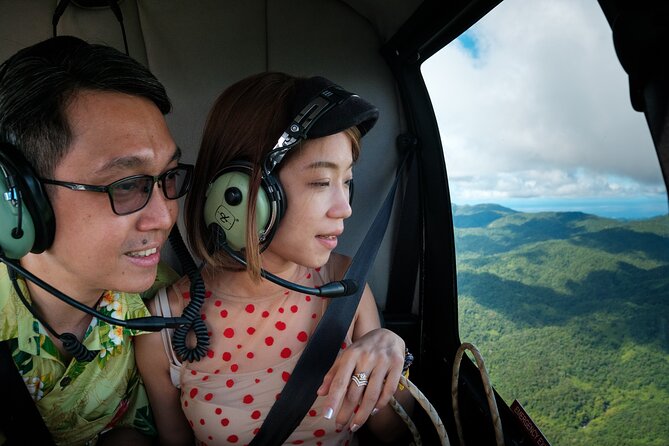 Fiji Private Helicopter Tour Sleeping Giant and Koroyanitu Heritage Park - Koroyanitu Heritage Park and Abaca Village