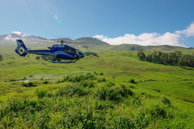 First Class Maui & Molokai Helicopter Tour with Landing - The Ulupalakua Ranch landing