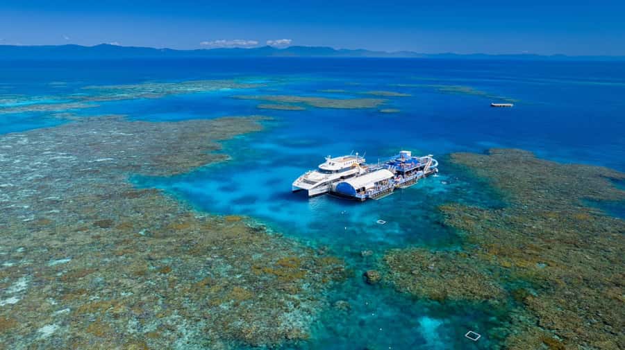 From Cairns: Outer Reef Pontoon, Island & Helicopter Tour - Key points to know before booking