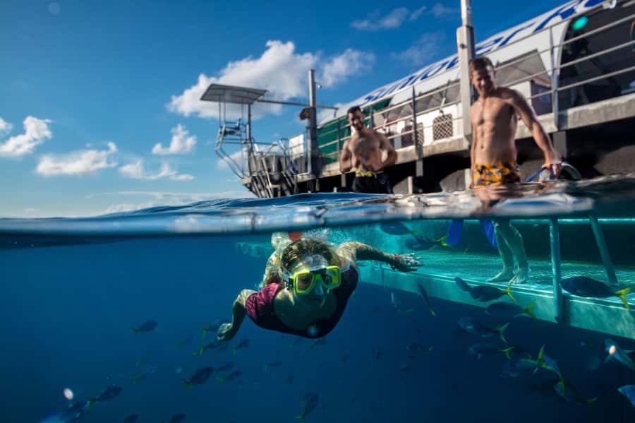 From Cairns: Outer Reef Pontoon, Island & Helicopter Tour - How much value do you get for $336?