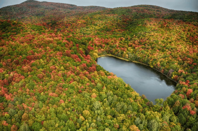 From Montreal: Scenic Montérégie Helicopter Tour - Weather, comfort, and sensible planning