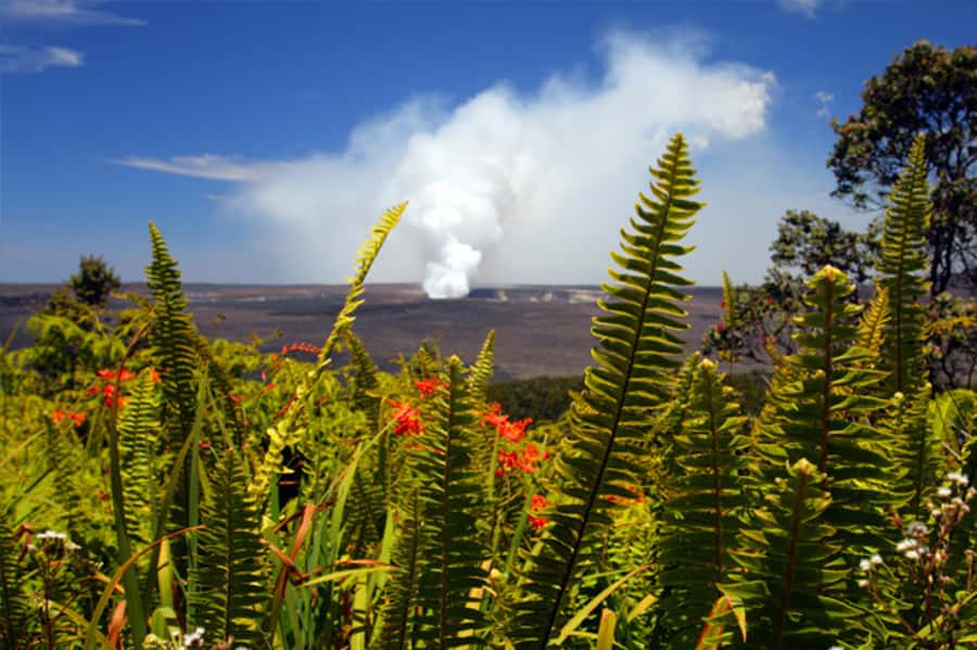 From Oahu: Big Island Volcano Adventure & Helicopter - Halema‘uma‘u Crater and the power beneath the park