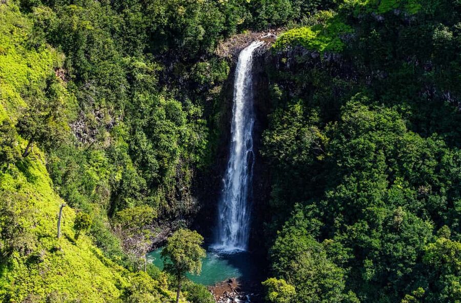 From Princeville: Discover Kauai Helicopter Tour - Key points to know before booking
