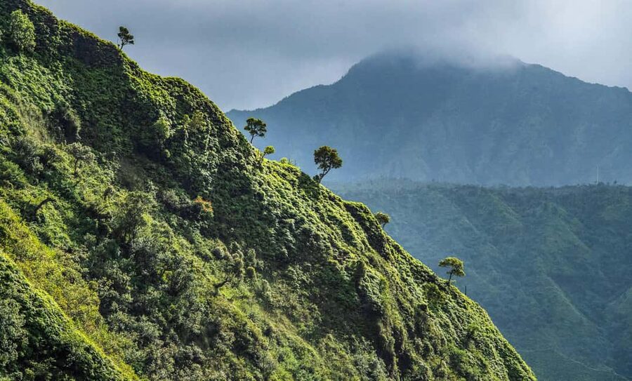 From Princeville: Discover Kauai Helicopter Tour - Olokele Canyon and the colors of Waimea